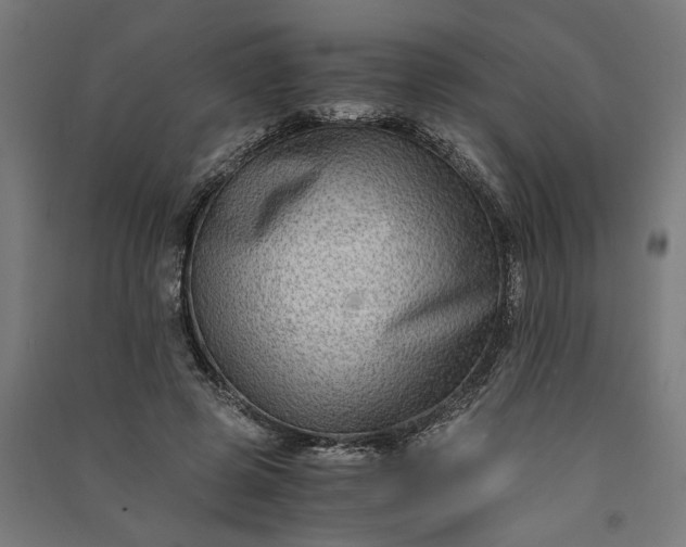 X0000091060545200708201347