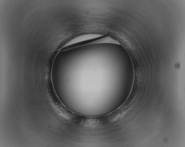 X0000091060546200708201347