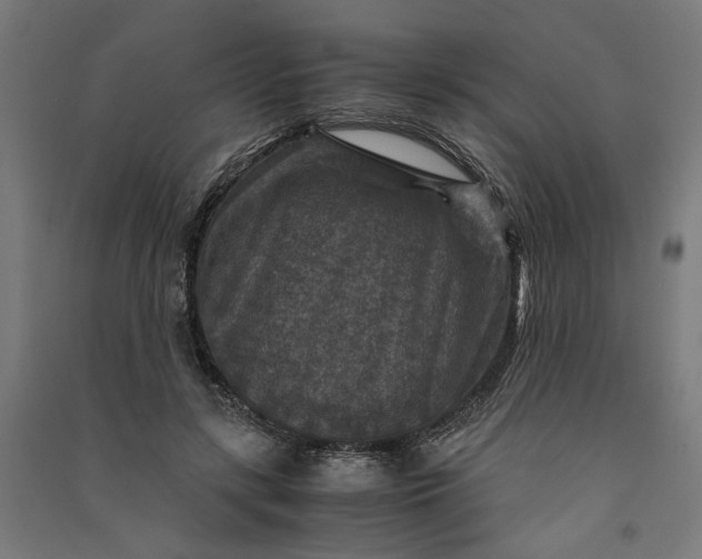 X0000091060547200708201347