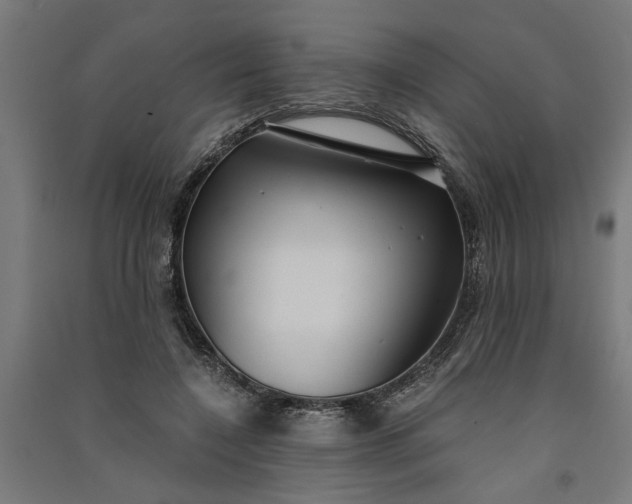 X0000091060548200708201347