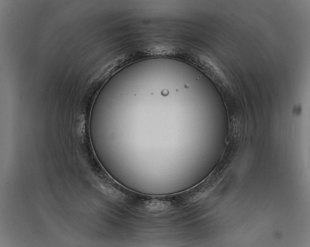 X0000091060549200708201347