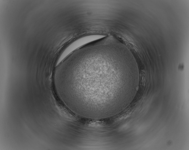 X0000091060550200708201348