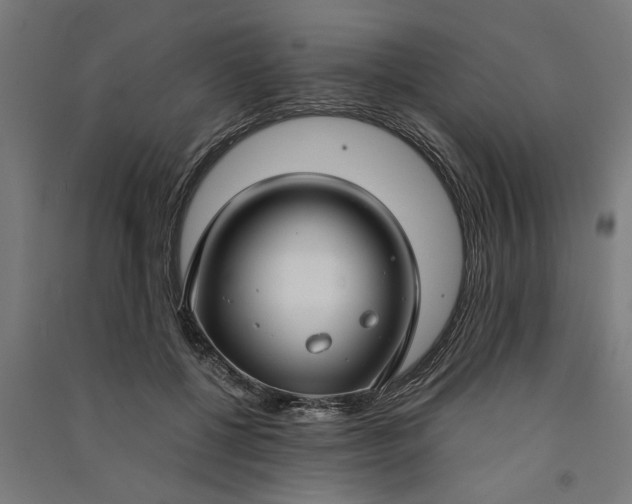 X0000091060552200708201348