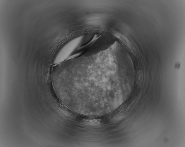 X0000091060553200708201348