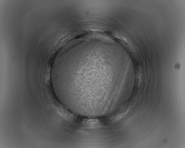 X0000091060554200708201348