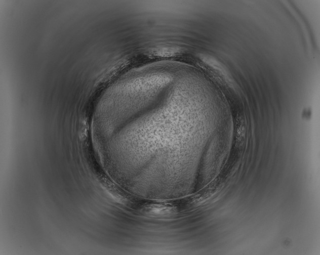 X0000091060555200708201348