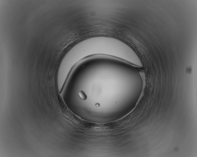 X0000091060556200708201348