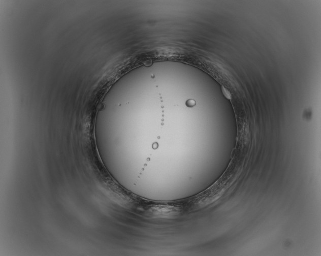 X0000091060557200708201348