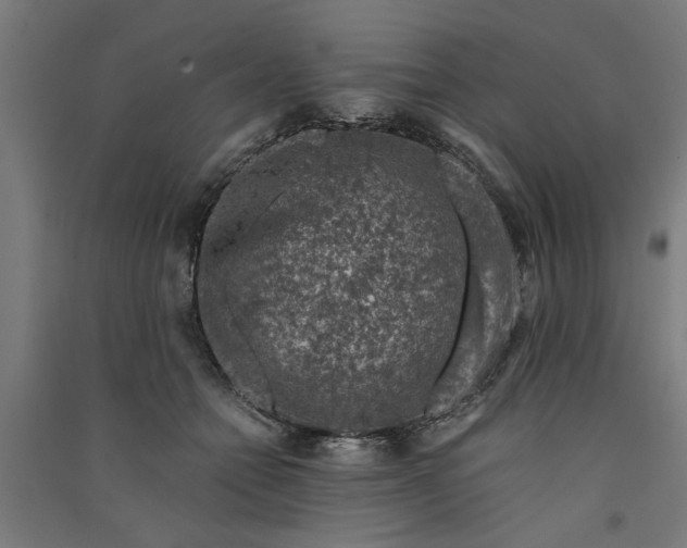 X0000091060558200708201348
