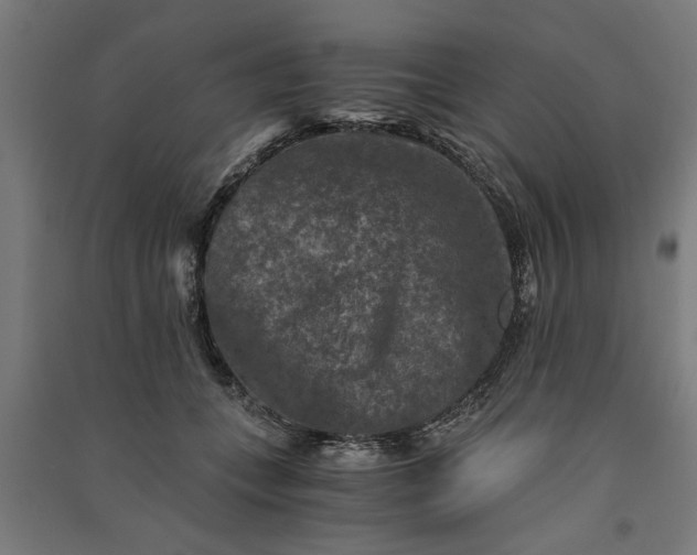 X0000091060559200708201348