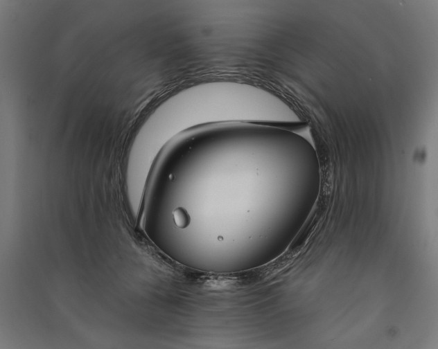 X0000091060560200708201348