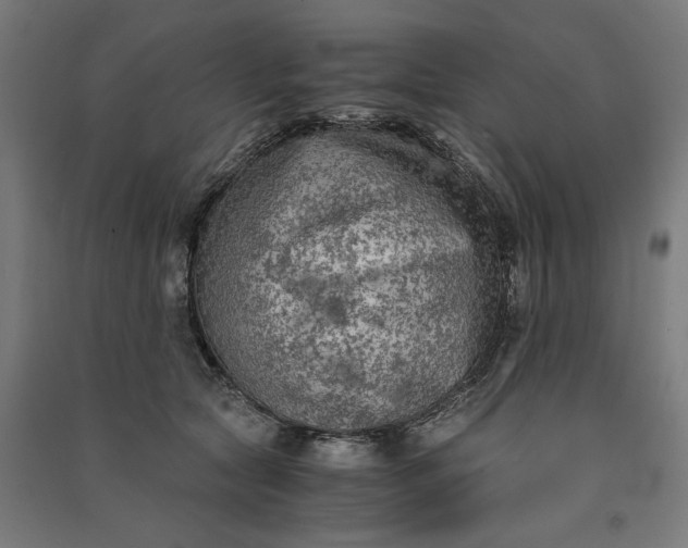 X0000091060561200708201348