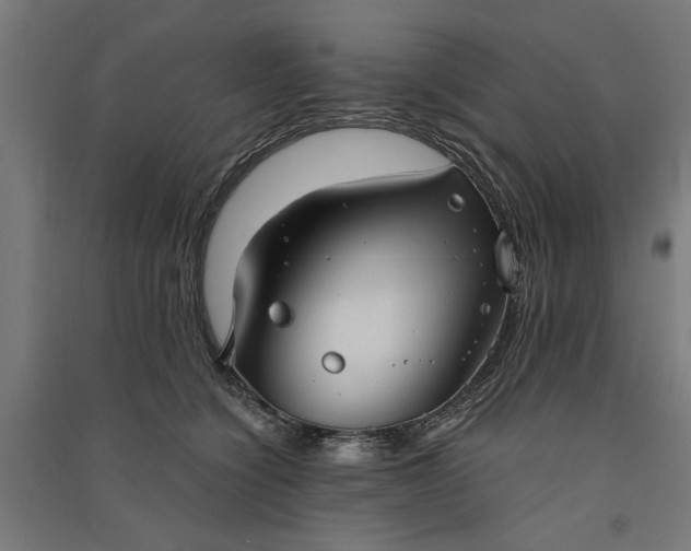 X0000091060564200708201348