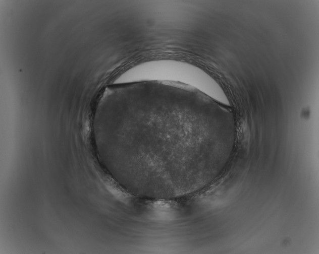 X0000091060566200708201348