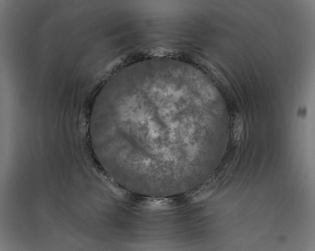 X0000091060569200708201348