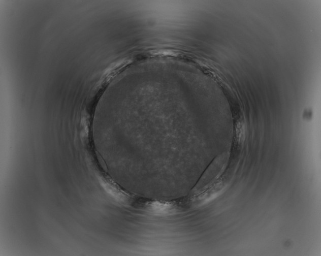 X0000091060570200708201348
