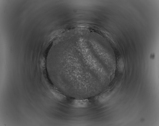 X0000091060571200708201348