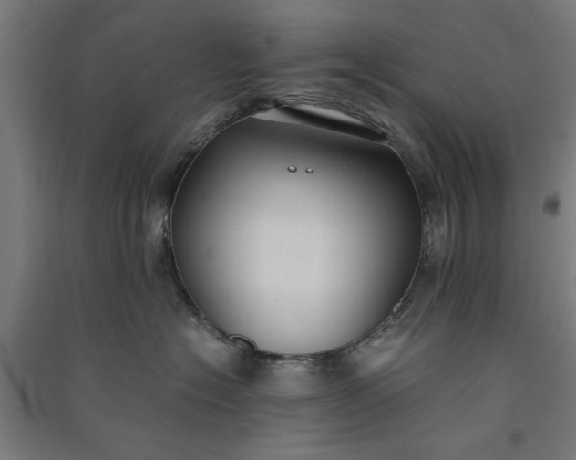 X0000091060574200708201348