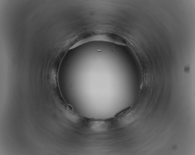 X0000091060575200708201348