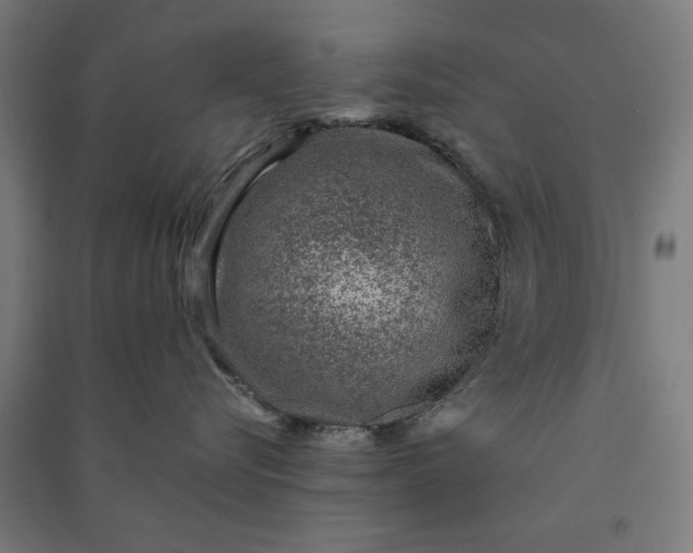X0000091060576200708201348