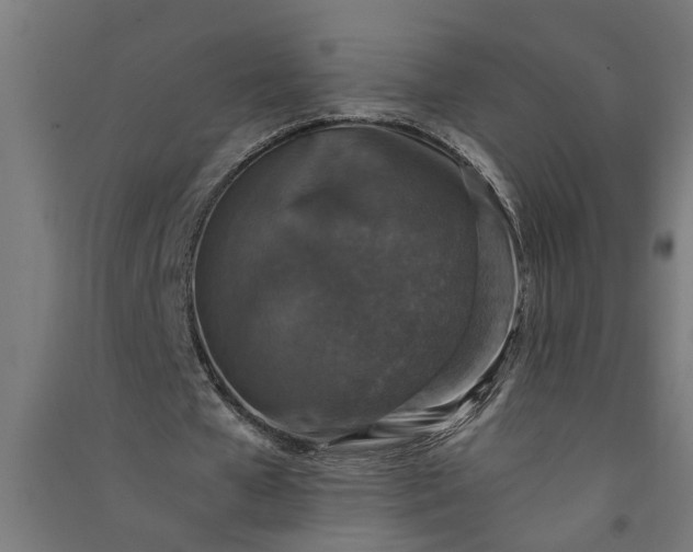 X0000091060577200708201347
