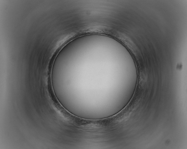 X0000091060578200708201347
