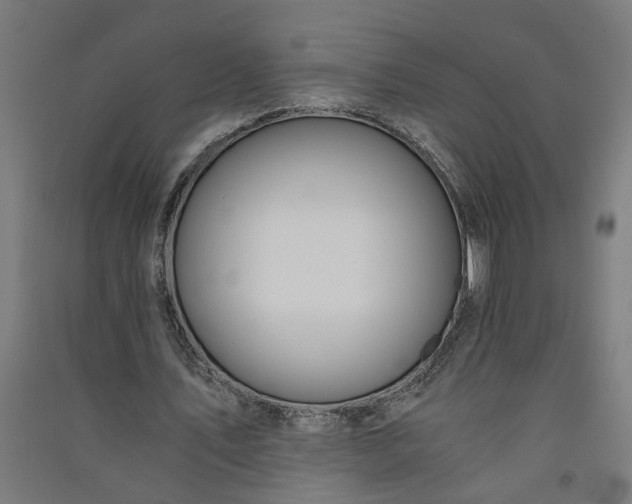 X0000091060579200708201347