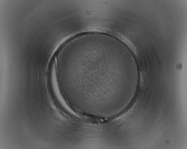 X0000091060580200708201347