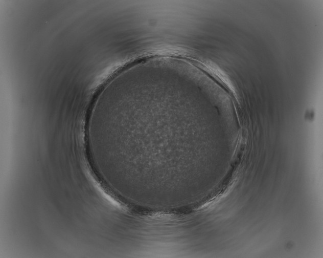 X0000091060581200708201347