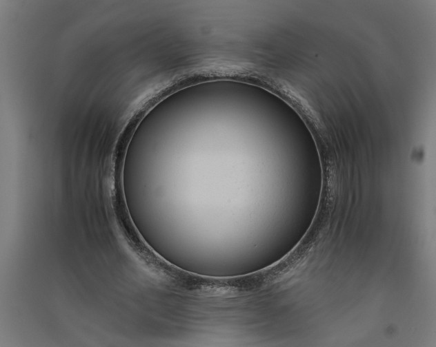 X0000091060582200708201347