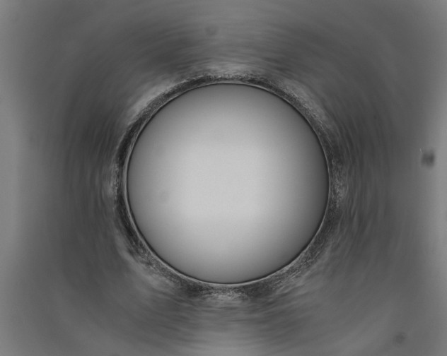 X0000091060583200708201347