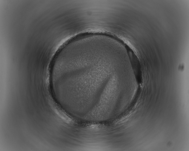 X0000091060584200708201347