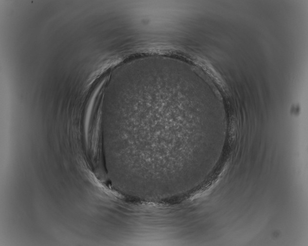 X0000091060585200708201347