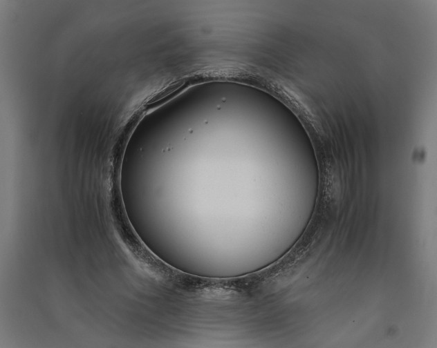 X0000091060586200708201347