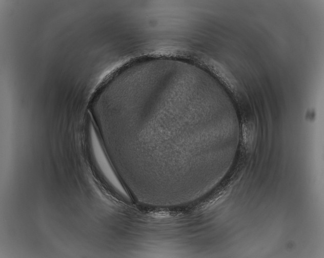 X0000091060588200708201347