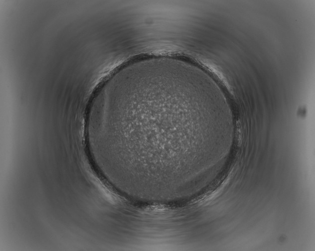 X0000091060589200708201347