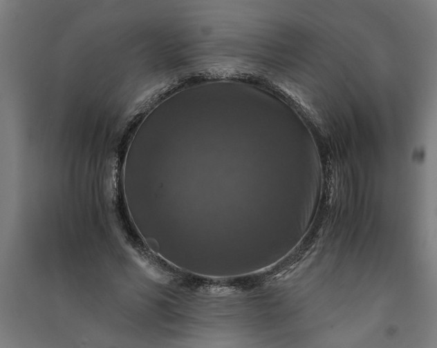 X0000091060590200708201347
