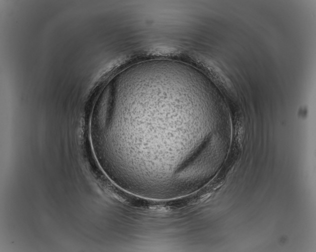 X0000091060591200708201347