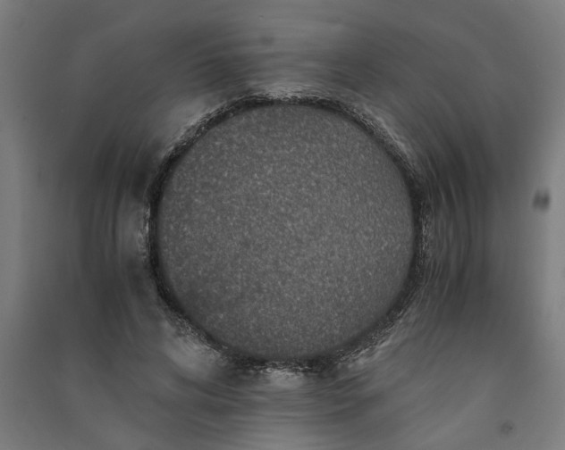 X0000091060592200708201347