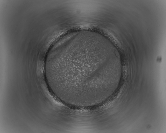 X0000091060593200708201347