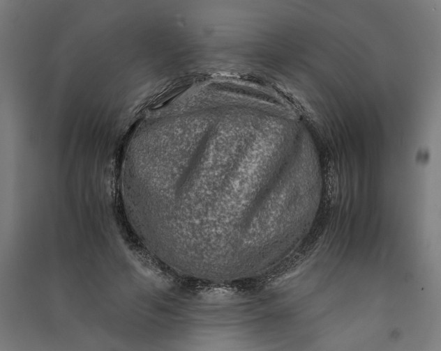 X0000091060594200708201347