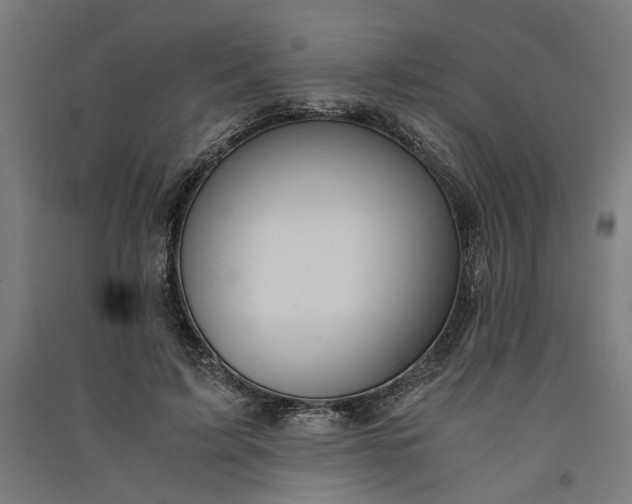 X0000091060595200708201347