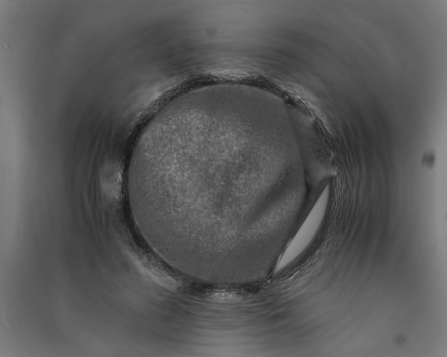 X0000091060596200708201347