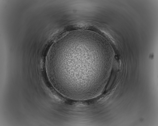 X0000091060597200708201347