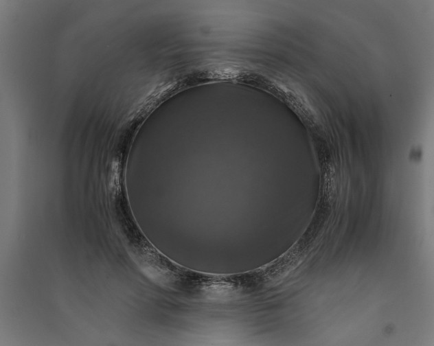 X0000091060598200708201347