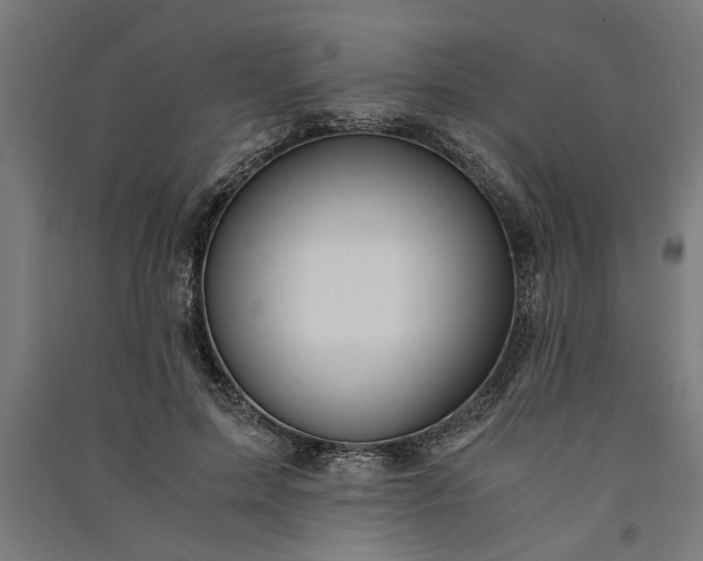X0000091060599200708201347