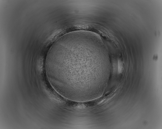 X0000091060600200708201347
