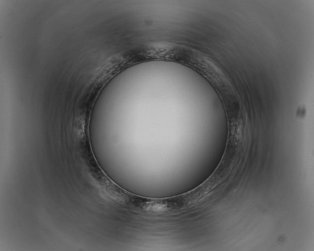 X0000091060602200708201347