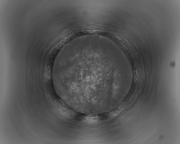 X0000091060606200708201347