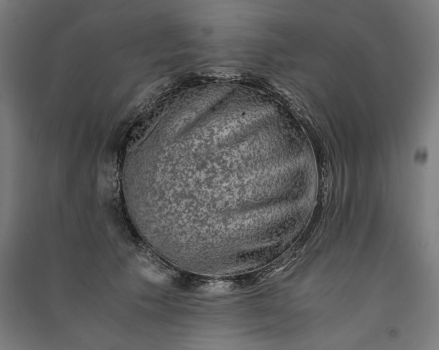 X0000091060609200708201347
